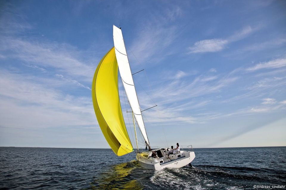 Pogo 12.50 (2)