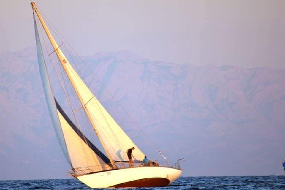 Pilot Cutter 0 (2)